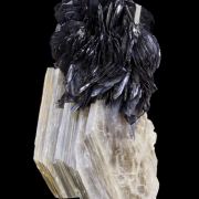 Tantalite on Muscovite with Schorl