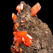 Wulfenite