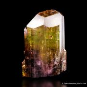 Tourmaline with Lepidolite (one time pocket)