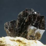 Ferroaxinite on Palygorskite