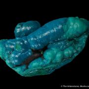 Chrysocolla on Malachite