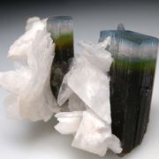 Hambergite on Tourmaline