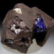 Tanzanite on Alabandite