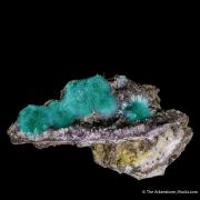 Aurichalcite on Hemimorphite