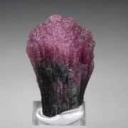 TOURMALINE var. RUBELLITE