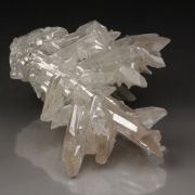 reticulated CERUSSITE