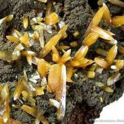 Wulfenite