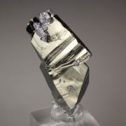 PYRITE floater, GALENA