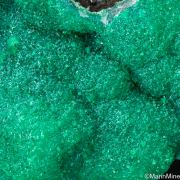 Dioptase on Chrysocolla