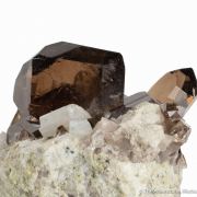 Smoky Quartz (closed Gwindel) on Granite