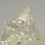 Creedite