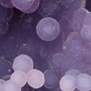 Quartz / (variety - Chalcedony) / (variety - Agate) / (Grape Chalcedony / Grape Agate)