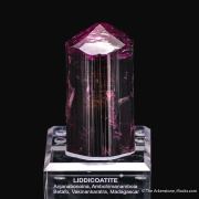 Fluor-liddicoatite Tourmaline