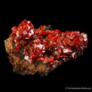 Wulfenite