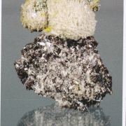 Stokesite with Cookeite on Lepidolite  (illustrated)