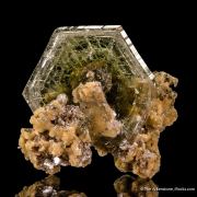 Fluorapatite on Muscovite