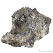 Millerite