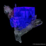 Fluorite included with Bismuthinite on Quartz