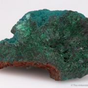 Rosasite on Malachite