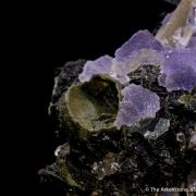 Fluorapatite and Fluorite