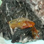 Wulfenite