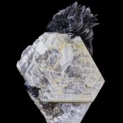 Tantalite on Muscovite with Schorl