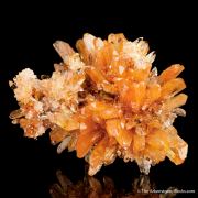 Creedite