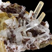 Sphalerite, Pyrite, Siderite, Quartz.