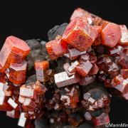 Vanadinite on Goethite