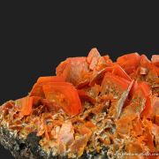 Wulfenite