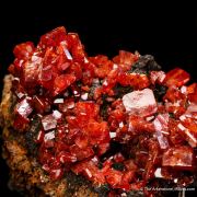 Wulfenite