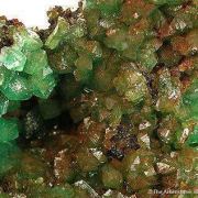 Cuprian Adamite