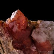 Rhodochrosite and Quartz