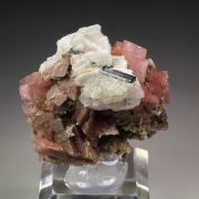 RHODOCHROSITE, ALBITE