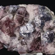 Fluorite with Galena