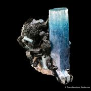 Beryl var. Aquamarine with Schorl (Tourmaline)