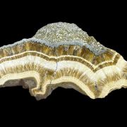 Baryte, marcasite