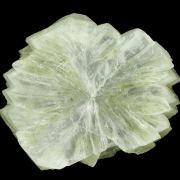 Tunellite