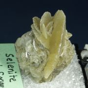 Gypsum (v. Selenite)