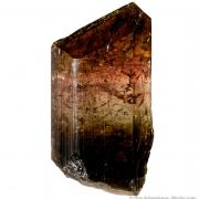 Liddicoatite Tourmaline