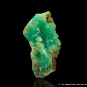 Cuprian Adamite