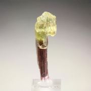 scepter TOURMALINE var. ELBAITE