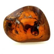 Amber (polished).