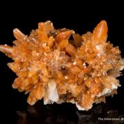 Creedite