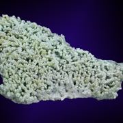 Prehnite (unusual “fingers”)