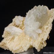 Colemanite