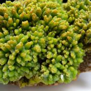 Pyromorphite