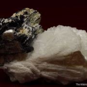 Tantalite-(Fe) with Cassiterite, Albite and Muscovite