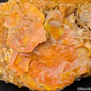 Wulfenite