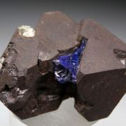 Tanzanite on Alabandite